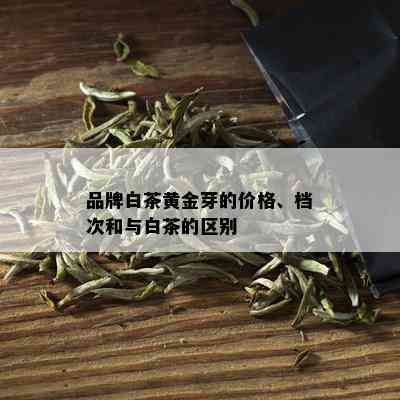 品牌白茶黄金芽的价格、档次和与白茶的区别