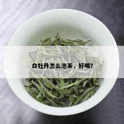 白牡丹怎么泡茶，好喝？