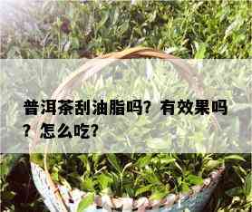 普洱茶刮油脂吗？有效果吗？怎么吃？