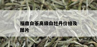 福鼎白茶高级白牡丹价格及图片