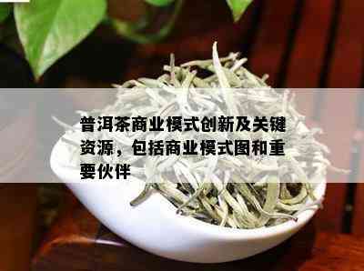 普洱茶商业模式创新及关键资源，包括商业模式图和重要伙伴