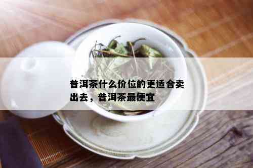 普洱茶什么价位的更适合卖出去，普洱茶更便宜