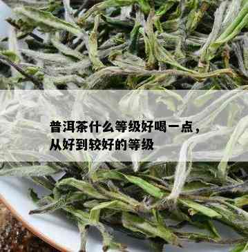 普洱茶什么等级好喝一点，从好到较好的等级