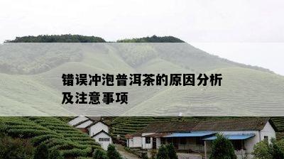 错误冲泡普洱茶的原因分析及注意事项