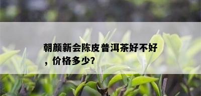 朝颜新会陈皮普洱茶好不好，价格多少？