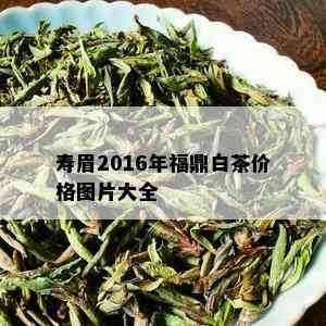 寿眉2016年福鼎白茶价格图片大全