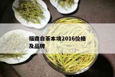 福鼎白茶本境2016价格及品牌