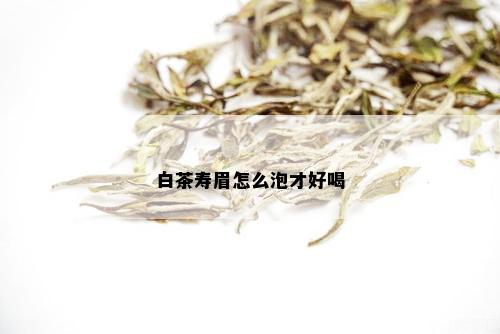 白茶寿眉怎么泡才好喝