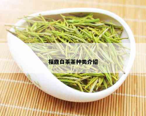 福鼎白茶茶种类介绍