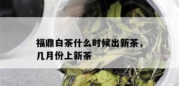 福鼎白茶什么时候出新茶，几月份上新茶