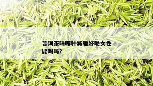 普洱茶喝哪种减脂好呢女性能喝吗？