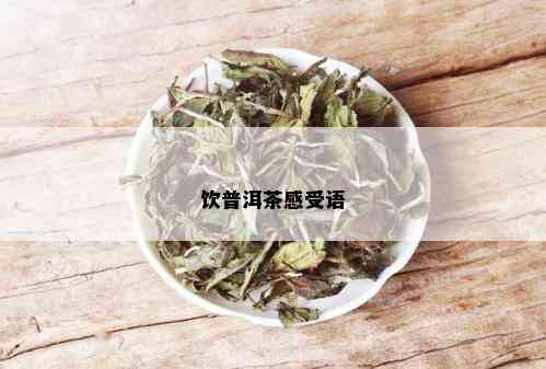 饮普洱茶感受语