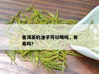 普洱茶的渣子可以喝吗，有吗？