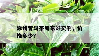 涿州普洱茶哪家好卖啊，价格多少？