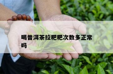 喝普洱茶拉粑粑次数多正常吗