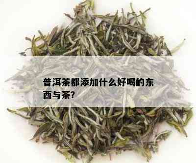 普洱茶都添加什么好喝的东西与茶？