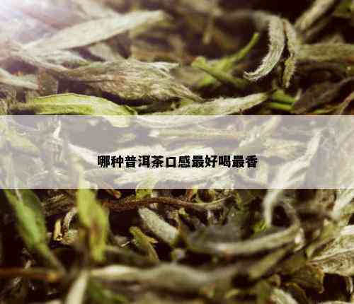 哪种普洱茶口感更好喝最香