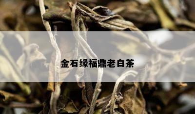 金石缘福鼎老白茶