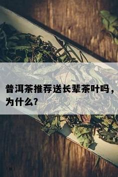 普洱茶推荐送长辈茶叶吗，为什么？