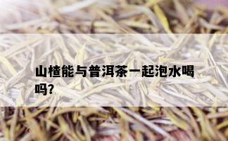 山楂能与普洱茶一起泡水喝吗？