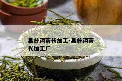 县普洱茶代加工-县普洱茶代加工厂