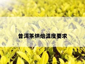 普洱茶烘焙温度要求