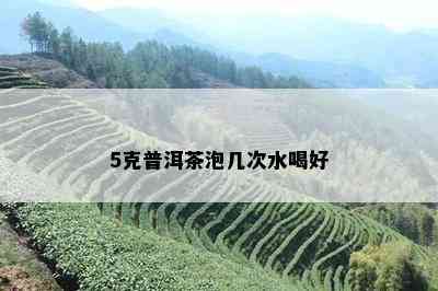 5克普洱茶泡几次水喝好