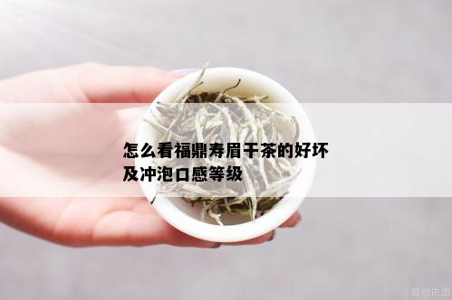 怎么看福鼎寿眉干茶的好坏及冲泡口感等级