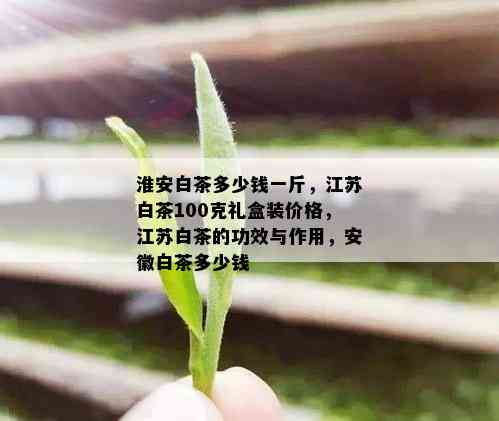 淮安白茶多少钱一斤，江苏白茶100克礼盒装价格，江苏白茶的功效与作用，安徽白茶多少钱