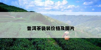 普洱茶袋装价格及图片