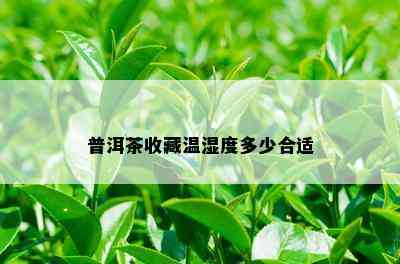 普洱茶收藏温湿度多少合适