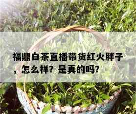 福鼎白茶直播带货红火胖子，怎么样？是真的吗？