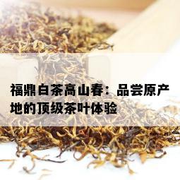 福鼎白茶高山春：品尝原产地的顶级茶叶体验