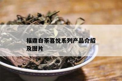 福鼎白茶喜悦系列产品介绍及图片