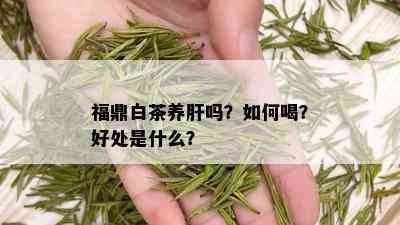 福鼎白茶养肝吗？如何喝？好处是什么？