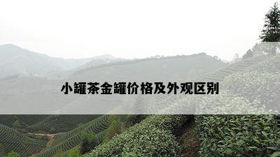 小罐茶金罐价格及外观区别