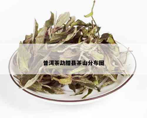 普洱茶勐腊县茶山分布图