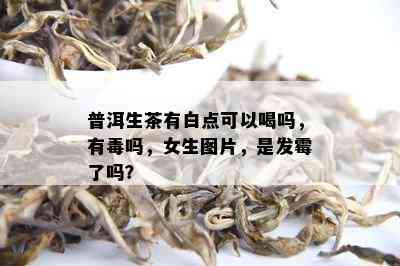 普洱生茶有白点可以喝吗，有吗，女生图片，是发霉了吗？