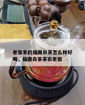 老张家的福鼎白茶怎么样好喝，福鼎白茶茶农老张