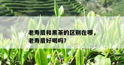 老寿眉和黑茶的区别在哪，老寿眉好喝吗？