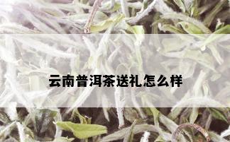 云南普洱茶送礼怎么样