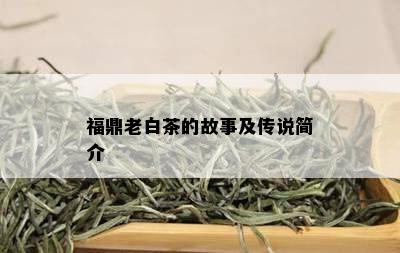 福鼎老白茶的故事及传说简介