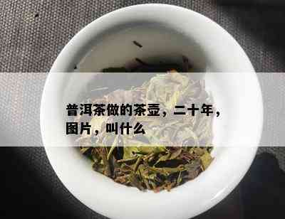 普洱茶做的茶壶，二十年，图片，叫什么