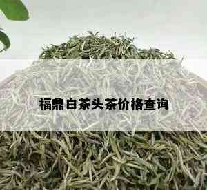 福鼎白茶头茶价格查询