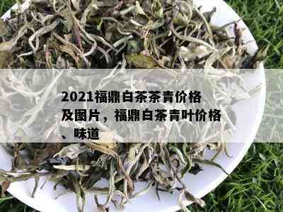 2021福鼎白茶茶青价格及图片，福鼎白茶青叶价格、味道