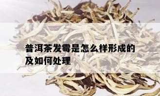 普洱茶发霉是怎么样形成的及如何处理