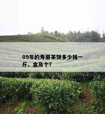 09年的寿眉茶饼多少钱一斤、盒及个？