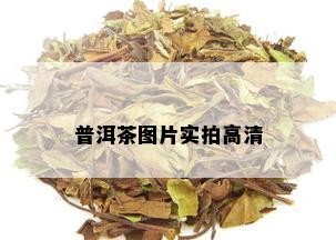 普洱茶图片实拍高清