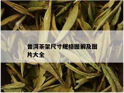 普洱茶架尺寸规格图解及图片大全