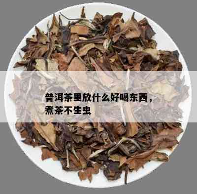 普洱茶里放什么好喝东西，煮茶不生虫